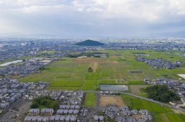 藤原宮跡 藤原宮跡