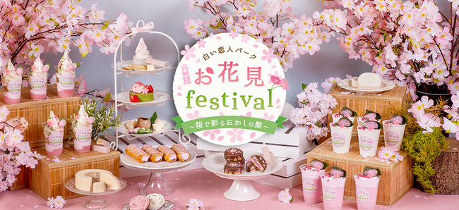 白い恋人パーク お花見festival~桜で彩るおかしの館~