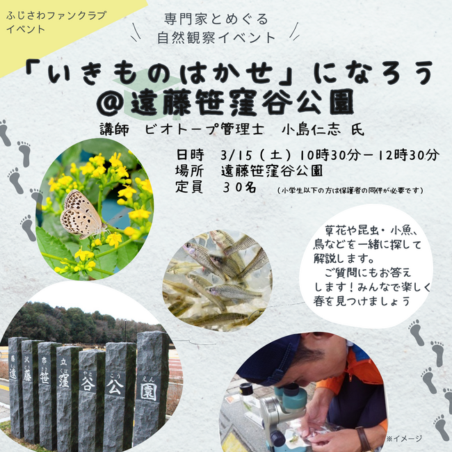 ふじさわファンクラブが会員向け自然観察イベント「【いきものはかせ】になろう@遠藤笹窪谷公園」を3月15日に開催