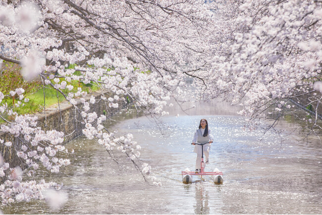 【BEB5土浦】360°桜に包まれる絶景を川面から独り占め！「お花見水上サイクリング」今年も開催