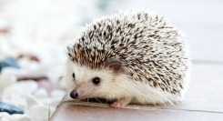 【うまくいくと不安になる成功不安と成功恐怖克服】仕事が上手くいっているのに不安、うまくいくのが怖い成功回避動機と成功恐怖症を改善！（仕事で結果を出す人の頭の中）