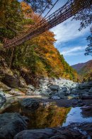 祖谷のかずら橋 祖谷のかずら橋