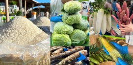 【道の駅木更津うまくたの里】大好評の農産物500円詰め放題　3月は旬な野菜詰め放題だけでなく、お米盛り放題も毎週末開催！