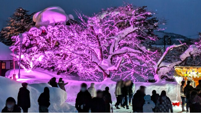 【イベントレポート】かつてない大雪の中で開催された上杉雪灯篭まつりで「東北一番桜よねざわプロジェクト」がいくつもの“雪の桜”を咲かせました！