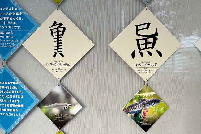 水族館が募集した、「魚」へんのオリジナル創作漢字 入賞作品が決定!