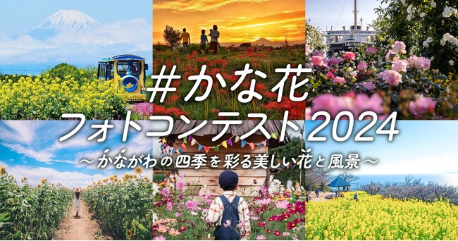 「＃かな花フォトコンテスト2024」入賞作品が決定しました！