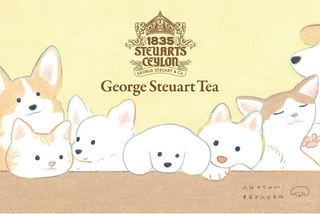 【てらおかなつみ×George Steuart Tea】コラボ紅茶第２弾!!「かわいい×おいしい」ティーバッグセット（ミニシール付き）が新登場です。癒やしのパッケージは必見！