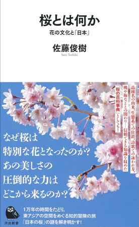 〈なぜ桜だけが特別なのか〉今年の開花も間近！ 社会学者・佐藤俊樹が桜の真実に迫った『桜とは何か』が2月27日発売
