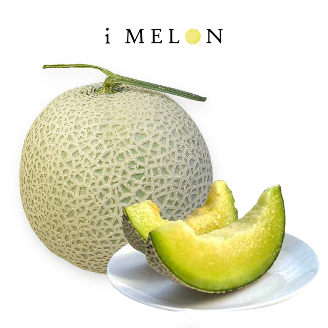 ITを活用して栽培した高級メロンの新ブランド『i MELON（アイメロン）』を3月3日より販売開始