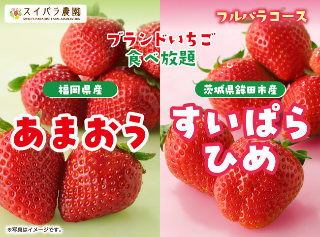 【スイパラ】いちごの王様「あまおう」が食べ放題に仲間入り♪3/8より「あまおうすいぱらひめ食べ放題」開催決定！