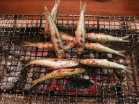 奥びわ湖の旬の魚を味わい尽くす！イベント「グルメの集い」を3月16日(日)に開催