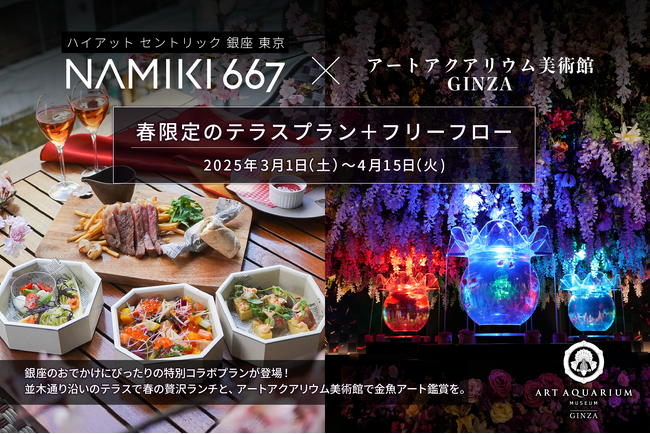 ハイアット セントリック 銀座 東京 NAMIKI667の春限定ランチとアートアクアリムで金魚アート鑑賞で春の銀座満喫プラン♪