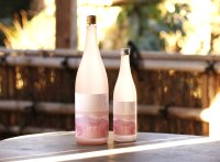 新潟・たからやま醸造、春の訪れを彩る限定酒「たからやま 純米生貯蔵～春の陽に～」を3月3日蔵出し！