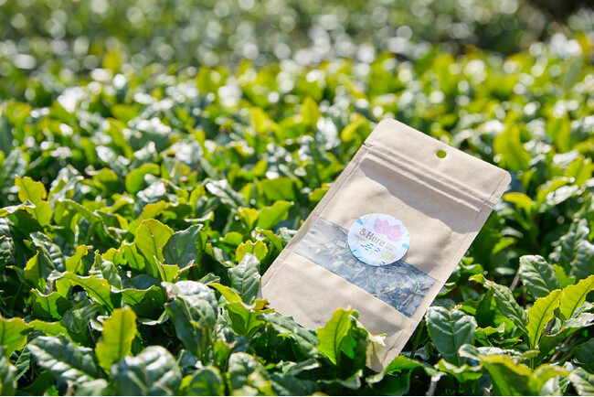 aardvark TEAが蓮の葉を使用した「＆Here TOKYO UENO オリジナルブレンドティー」をプロデュース