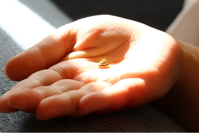 【資産価値 × 排泄物】異色の融合！金価格急騰の今こそ持ちたい「純金の運幸（うんこう）」お守りが登場！