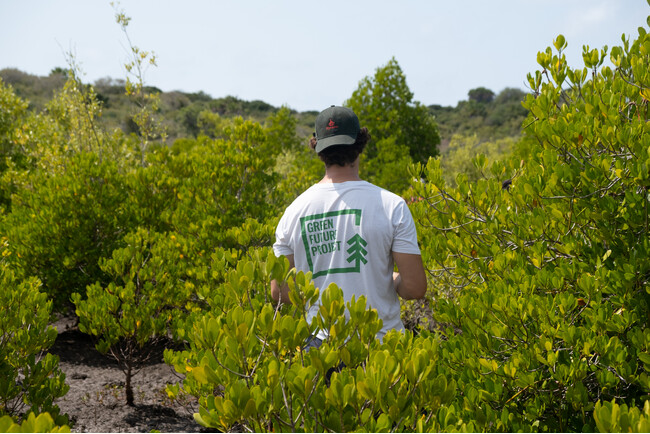 ポケットカード、「Green future Project」を通じてマングローブ植樹プロジェクトの支援を開始