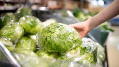値上げにおける買い物の変化についての消費者調査