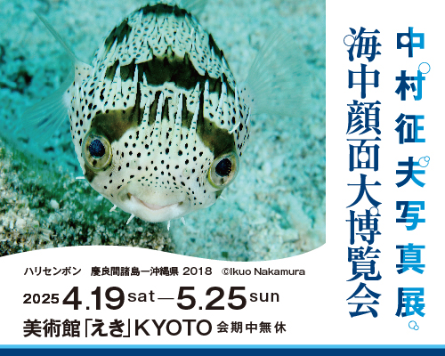 美術館「えき」KYOTOにて「中村征夫写真展 海中顔面大博覧会」開催！