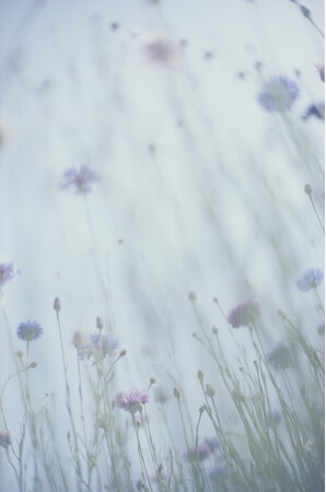 瀧本幹也 写真展「LUMIÈRE / PRIÈRE」