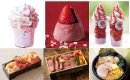 第23回 春の北海道大物産展 第23回 春の北海道大物産展