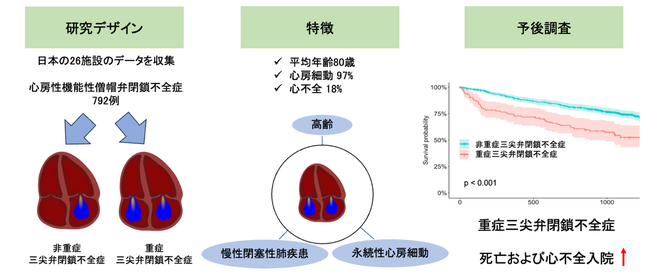 心房性機能的僧帽弁逆流症に合併する重症三尖弁逆流症の特徴と予後