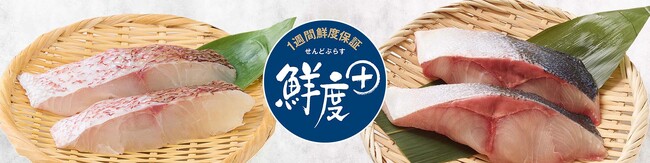 買い物習慣が変わる鮮度の新常識！１週間鮮度が続く「鮮度＋」の魚が新登場