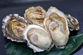 厚岸牡蠣イメージ 厚岸牡蠣イメージ