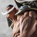 Portrait.Of.Pirates ワンピース “NEO-MAXIMUM”“白ひげ”エドワード・ニューゲート【超限定復刻版】(商品イメージ2) Portrait.Of.Pirates ワンピース “NEO-MAXIMUM”“白ひげ”エドワード・ニューゲート【超限定復刻版】(商品イメージ2)