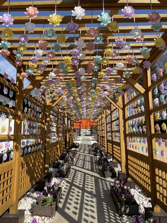 【春の彼岸到来・5万人超が来園見込み】木枠回廊は『かざぐるま装飾』でお出迎え（4月下旬まで）　公園墓地青葉園（さいたま市）