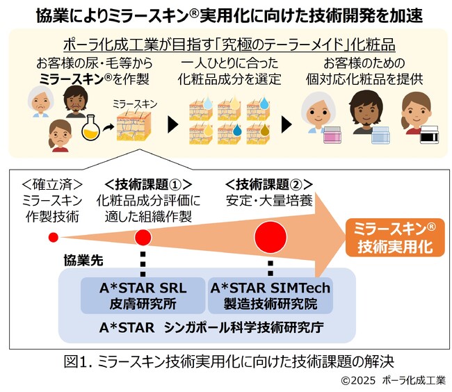 シンガポール拠点で「ミラースキン(TM)」実用化研究を本格スタート