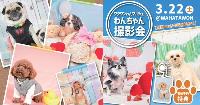 【南大阪ワタワン】わんちゃん撮影会、事前予約で「うちのコキーホルダー」プレゼント!