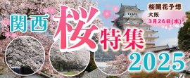 関西桜特集メイン 関西桜特集メイン