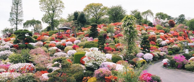 福島県富岡町にてZ世代起業家が花から酒と文化を創り出す。シグネチャー花酵母焼酎 