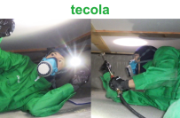 “10年保証のシロアリ予防”のテコラが子育て世帯向け「子育て支援割引」を3月11日(火)に導入