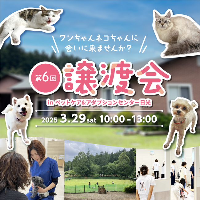 2025年3月29日（土）ペッツファーストグループ「犬猫里親譲渡会」開催のお知らせ　inペットケア＆アダプションセンター日光