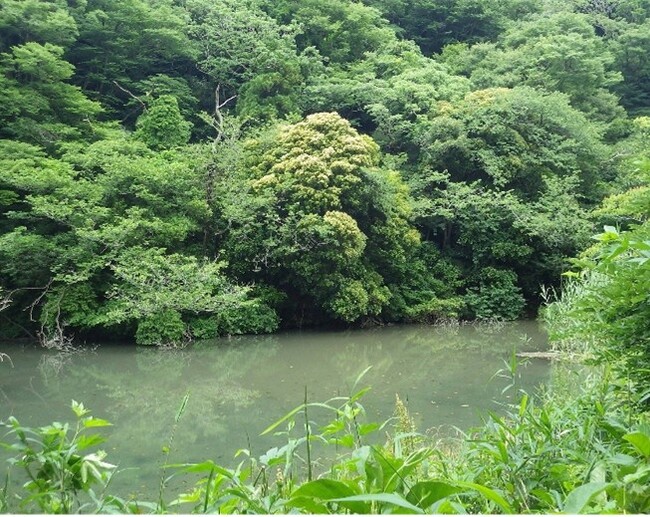 【神奈川県　横須賀市】「おおくす芦名堰の森」保全・活用に関する三者連携協定締結