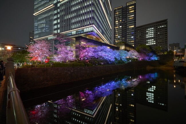 ＜千代田区・東京ガーデンテラス紀尾井町：春のイベント情報＞KIOI SPRING 2025 『紀尾井・花さんぽ』～昼はお花見・ピクニック、夜はお濠沿いの桜がライトアップされ春を満喫！～