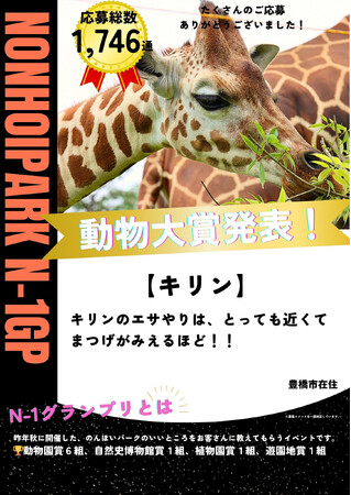 来園者が投票する「N-1グランプリ」のんほい大賞9組が決定!【豊橋総合動植物公園】