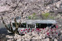 【跡見学園女子大学】３月29日（土）にオープンキャンパスを開催！～2026年度に開設予定の情報科学芸術学部（設置認可申請中）を紹介します