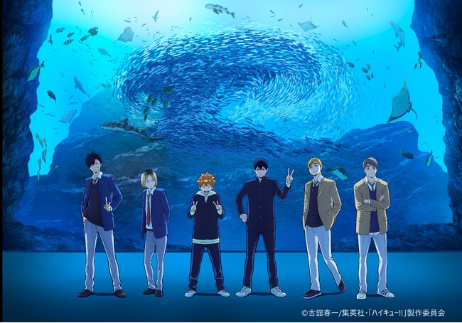 【仙台うみの杜水族館】『ハイキュー!!アクアリウムキャラバン!!～横浜・上越・仙台～』【２０２５年５月３１日（土）～６月３０日（月）】