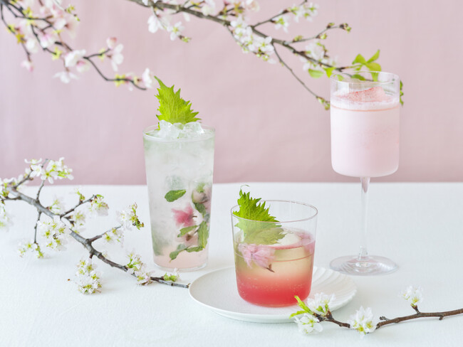 春の訪れを感じる「桜」のカクテルが期間限定登場！桜の風味香る特別な一杯を