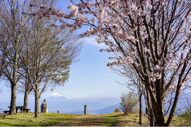【信州八ヶ岳】4月5日(土)富士見高原リゾートの天空カート運行開始!