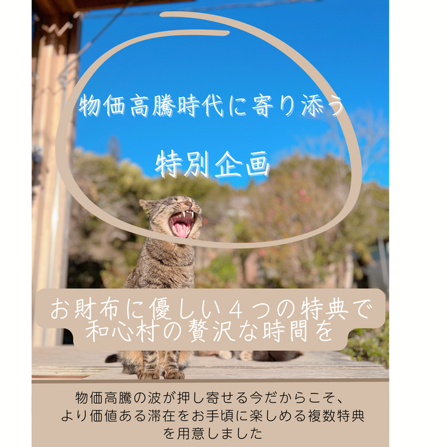 【値上げラッシュに逆行する試み】猫と古民家の里山グランピング「和心村」が「物価高騰時代に寄り添い特別企画」スタート：料金据え置きながらお得な特典を複数提供、物価高騰の時代こそ心を満たす本当の贅沢を