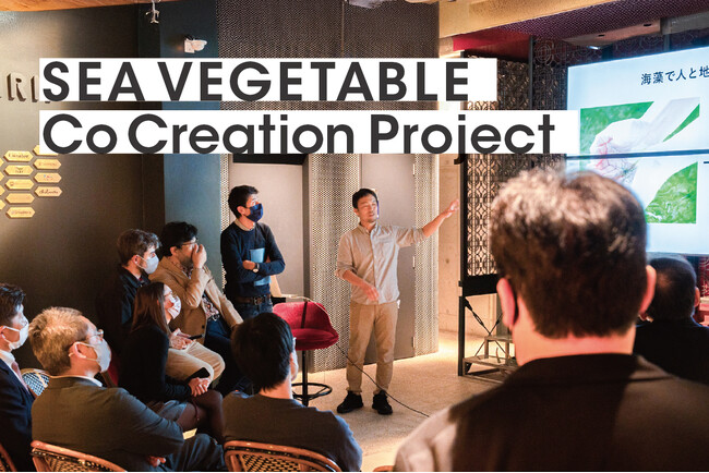 サステナブルな海藻産業をともに創る「SEA VEGETABLE Co Creation Project」募集開始