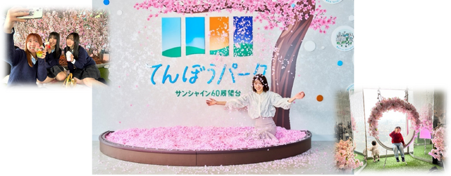 花粉症・卒業&入学・子どもとピクニック・天気が心配・・・一つでも当てはまったら てんぼうパーク さくらまつり で決まり！