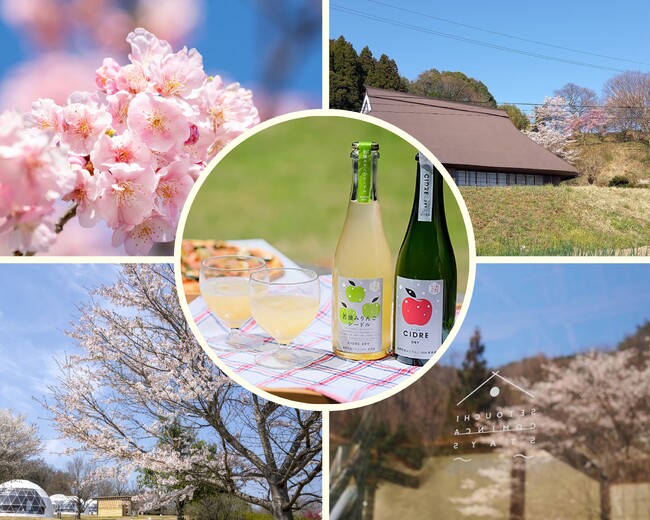 桜色の夜に乾杯！春の特別プラン