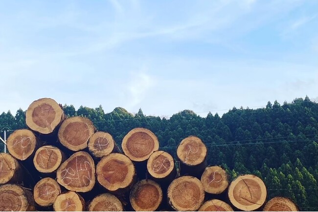  ＜2024年度 第26回 日本木材学会技術賞受賞＞『SUGI WOOD』エッセンシャルオイルを環境に配慮した新製法で抽出。林業支援プロジェクトとしてCAMPFIREにてクラウドファンディングを開始 