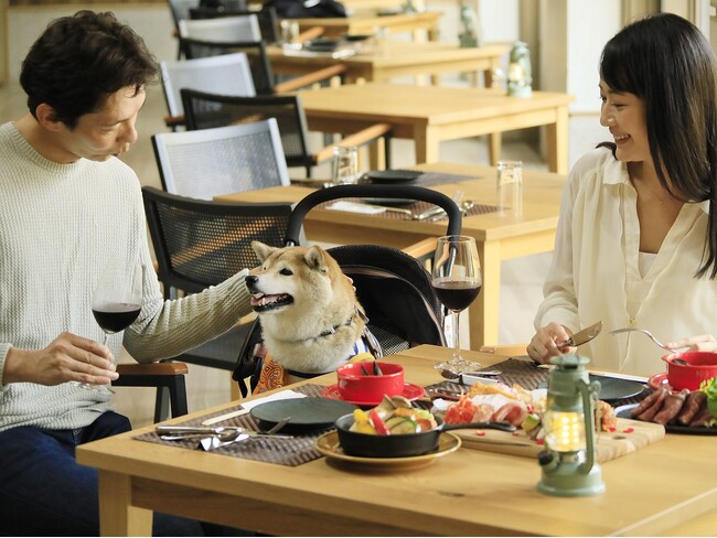 【3周年記念】北軽井沢の愛犬と泊まれるホテルが3大特典付きプラン販売｜2025年4月1日～