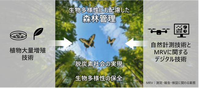 キリンと日立、森林由来カーボン・クレジットの創出に向け、共同研究を開始