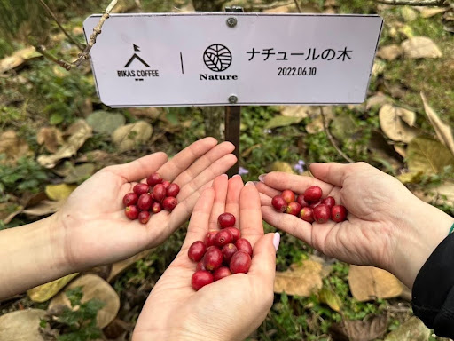 【SDGsへ貢献】ネパールの大自然と人の温もりが生み出す特別なコーヒーを新宿区高田馬場から世界へ！